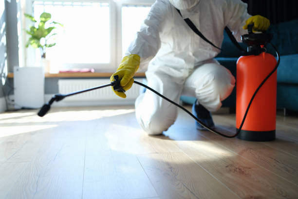 Reliable Odor Removal contractor in Stacy, MN by Trauma Clean Pros